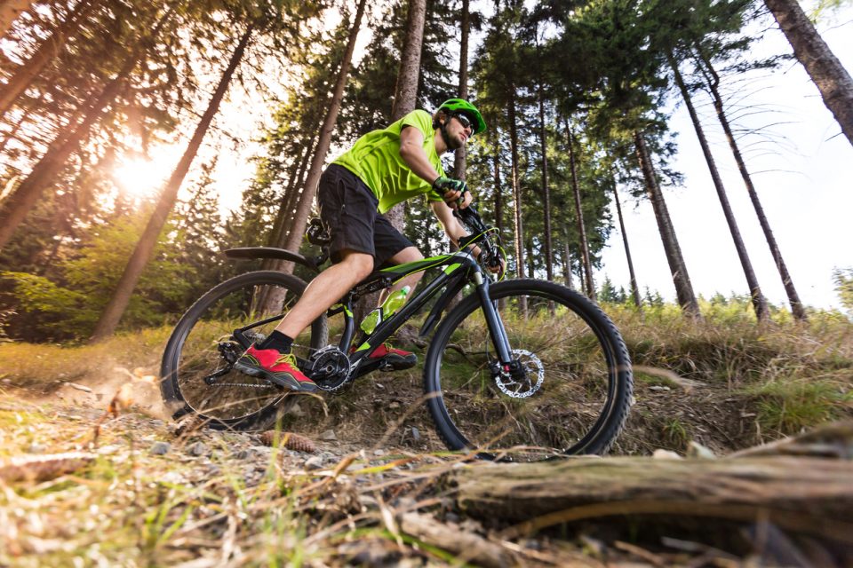 Mountain biker on bike trail in the forest